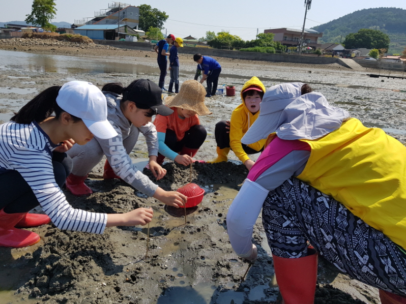 갯벌체험 (4).jpg
