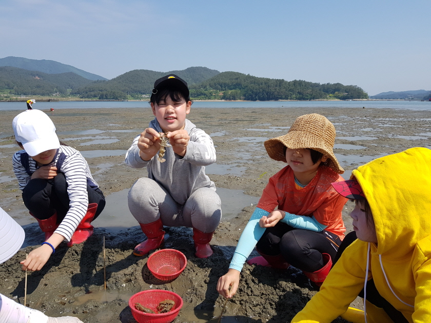 갯벌체험 (3).jpg